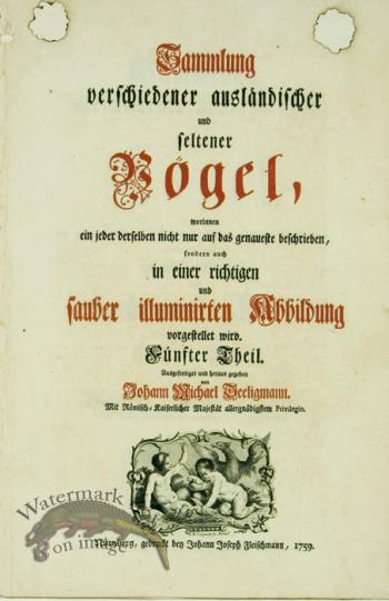 Seligmann Title Page 1